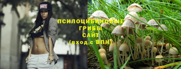 2c-b Бугульма